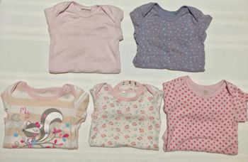 Lot de 5 bodies manches longues 24  mois