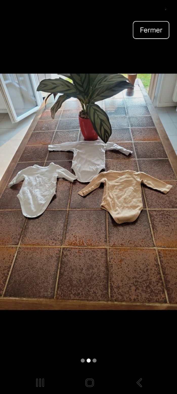 Lot 3 bodies manches longues mixte - photo numéro 2