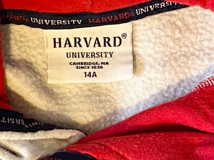 Sweat Harvard Beige Capuche Morceaux Lacets Noirs Décoration Cou Vêtement Tendance Mode Adolescents - photo numéro 7