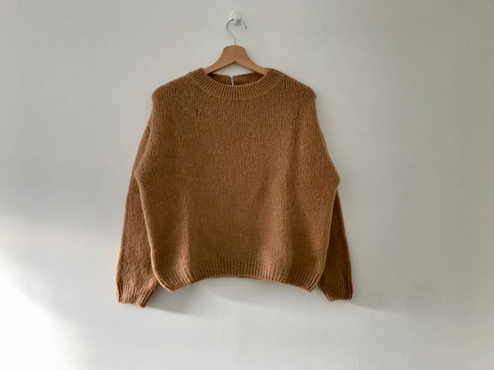 Pull camel - photo numéro 3
