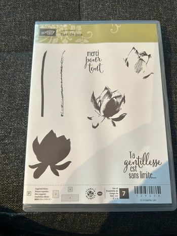 Tampons neufs tant de joie Stampin’up!