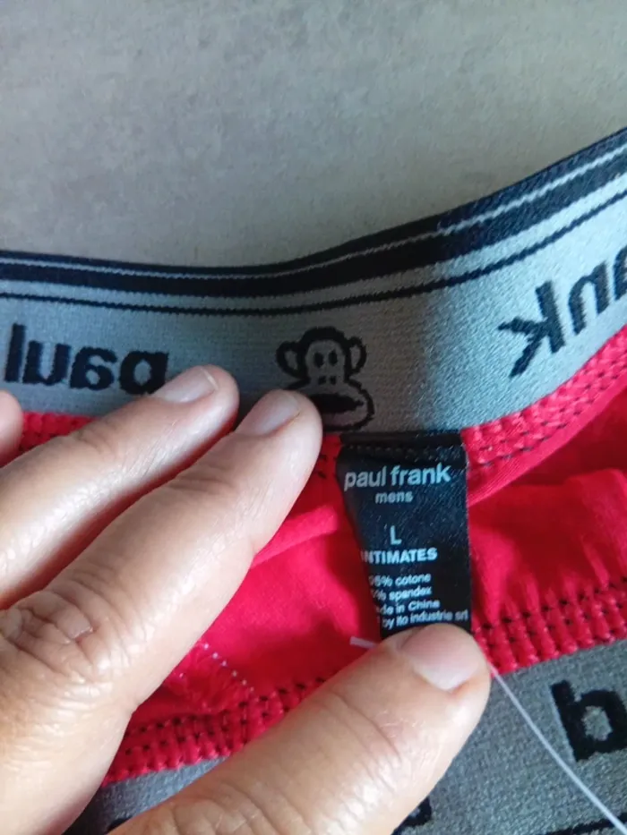 Slip homme taille L Paul franck - photo numéro 4