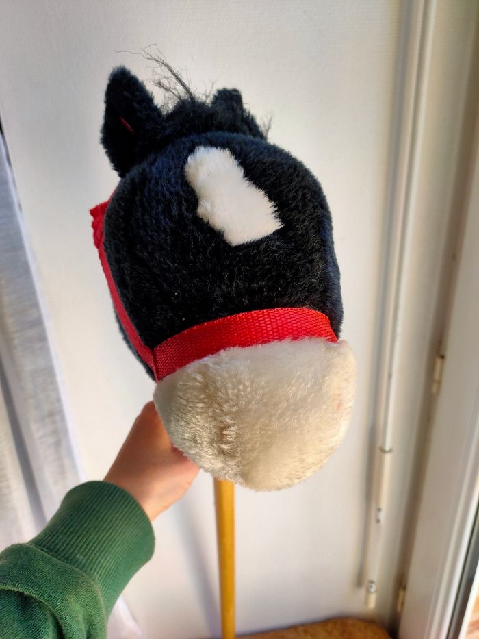 Bâton cheval noir - photo numéro 3