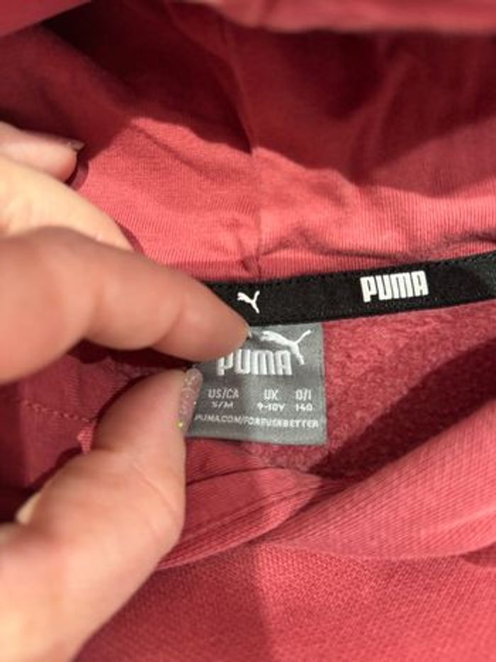 Jogging puma - photo numéro 5