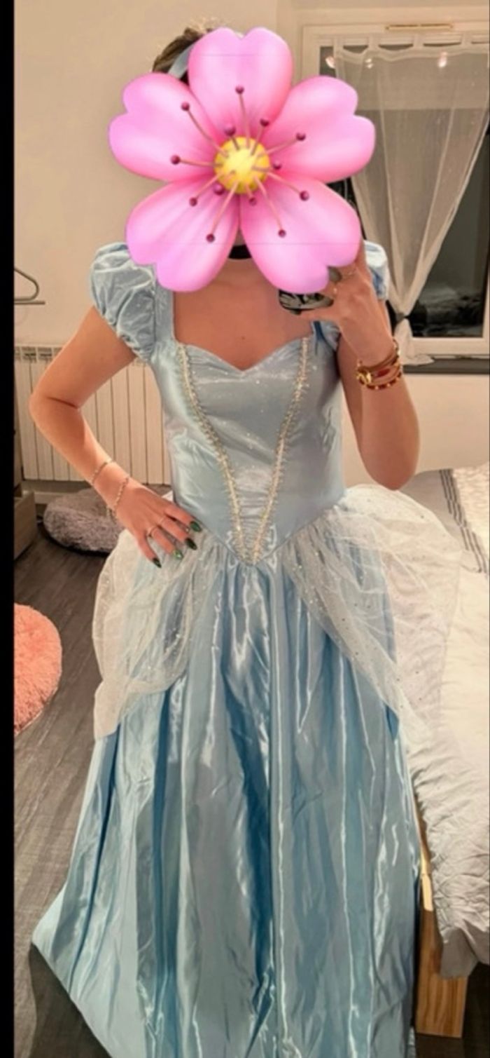 Robe/Déguisement Cendrillon - photo numéro 3