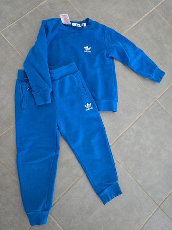 Ensemble Adidas bleu
