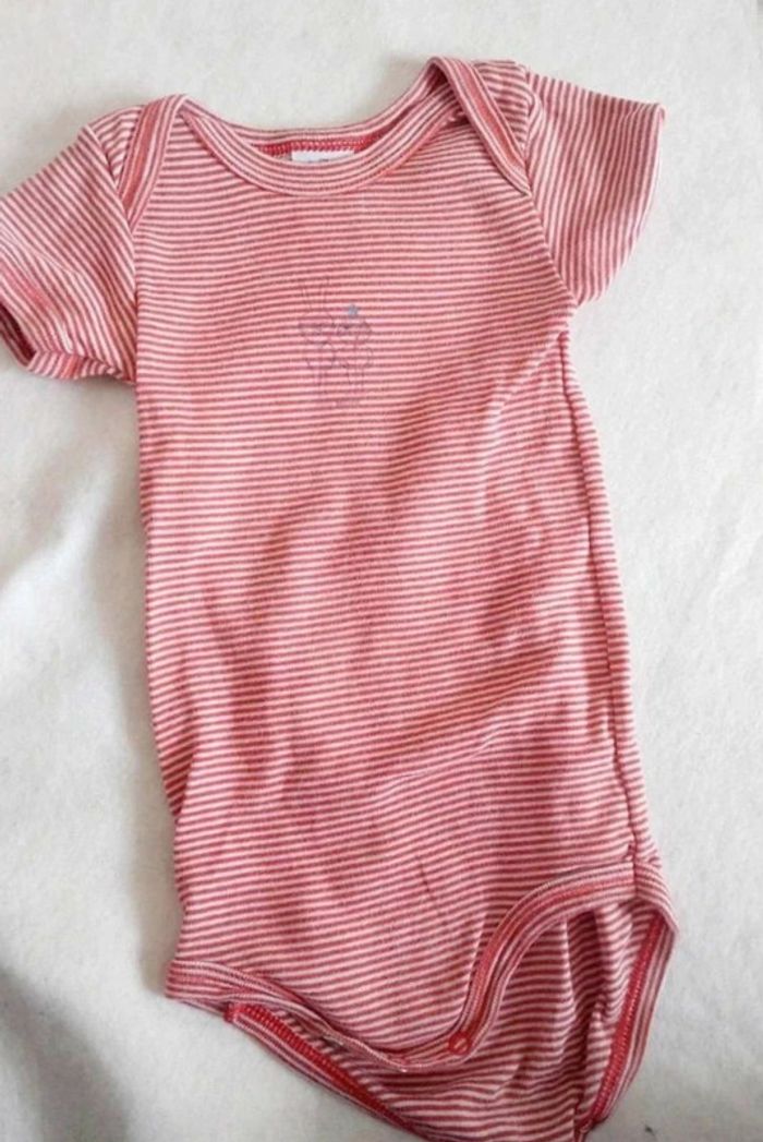 Lot 4 bodies fille manches courtes 9 mois - photo numéro 4