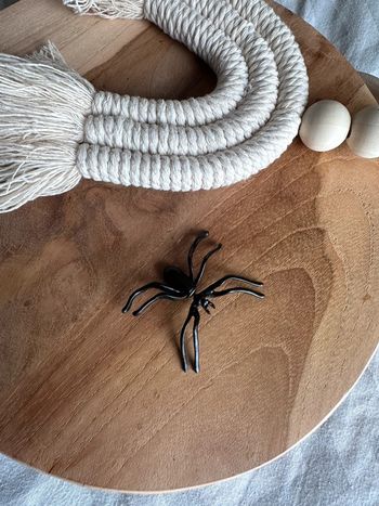 Bo araignée Halloween