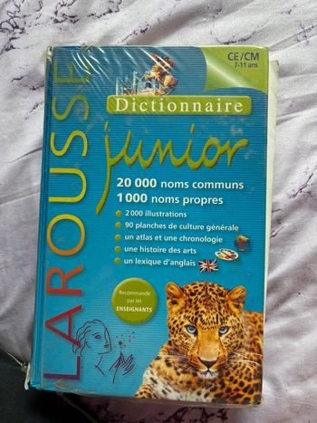 Dictionnaire CE/CM