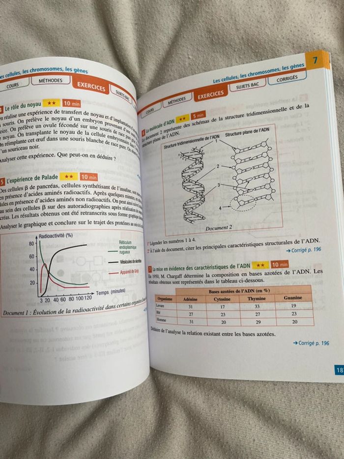 Bac st2s - photo numéro 3