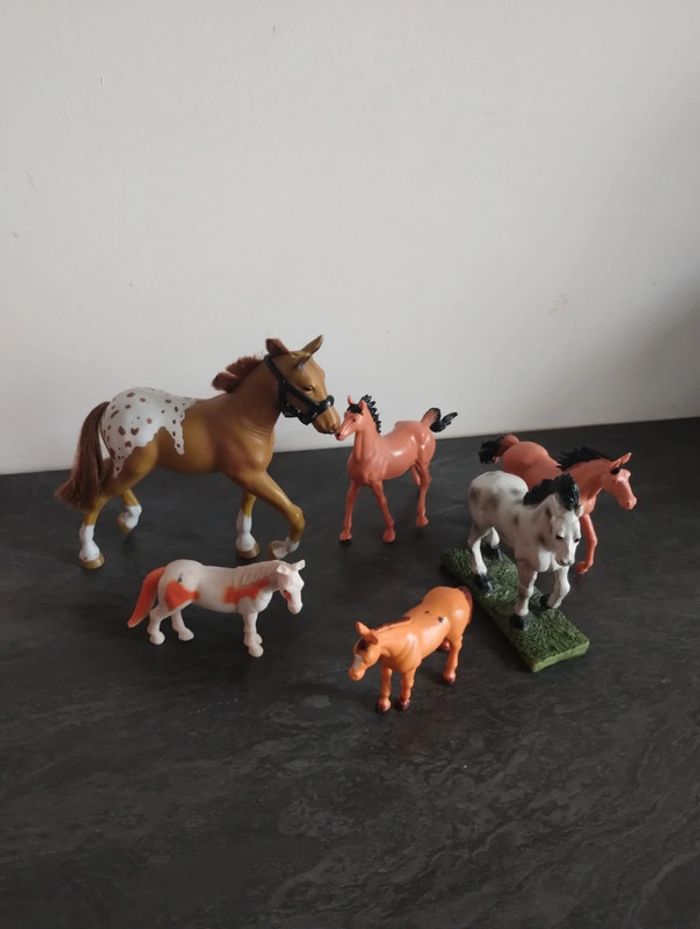 Chevaux - photo numéro 2