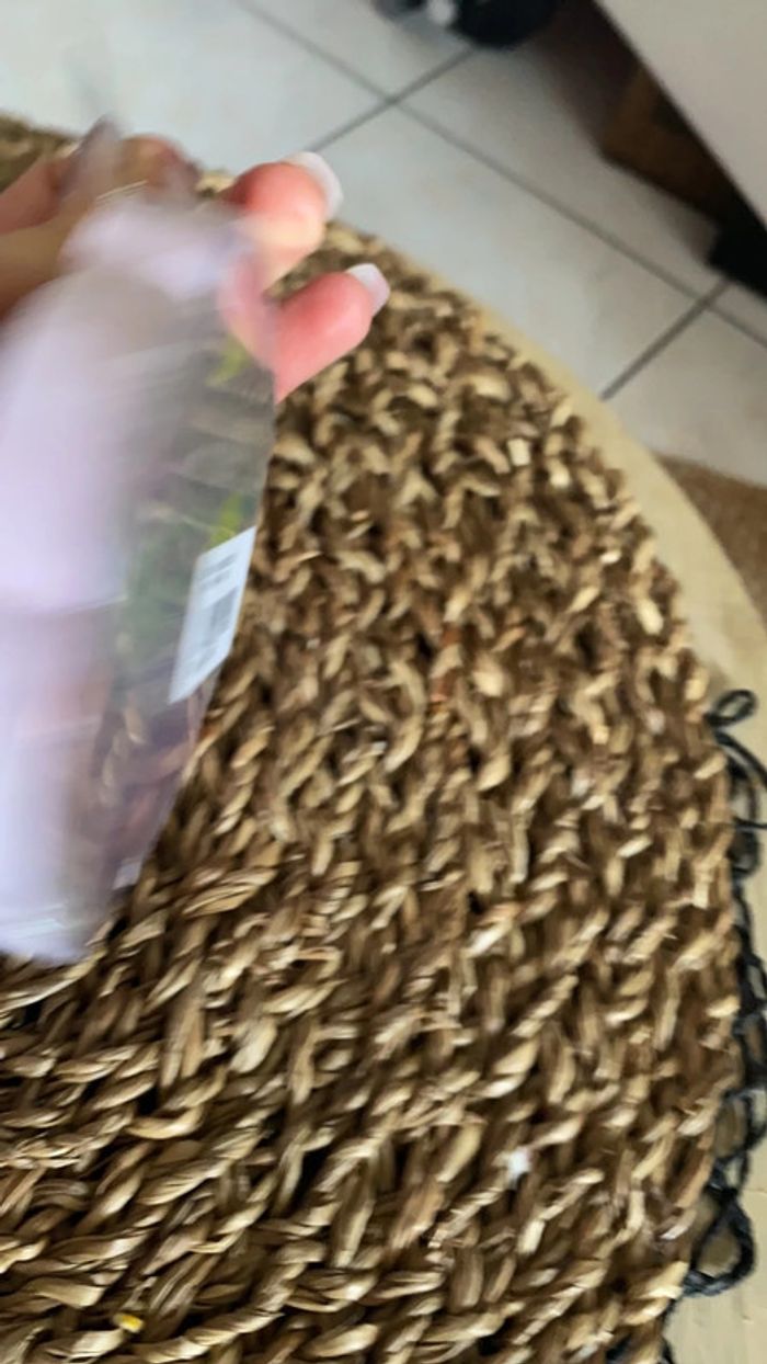 Bloc notes disney fée clochette - photo numéro 2