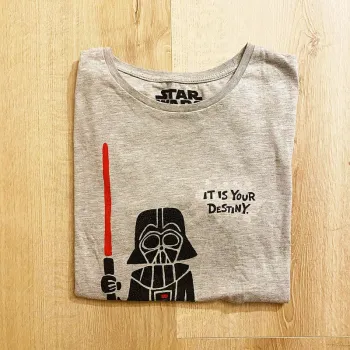 Star Wars Darth Vader T-Shirt Destiny Gris Homme Exclusive Collection Geek (Taille M)