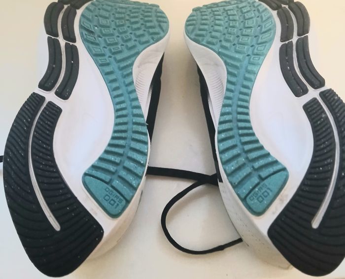 Baskets homme Nike Air Pegasus 40.5 - photo numéro 10