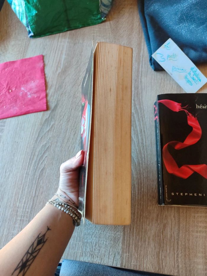 Lot livre Twilight - photo numéro 6