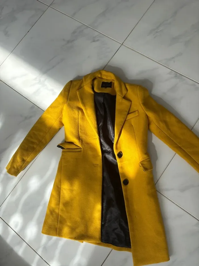 Manteau tailleur - photo numéro 2