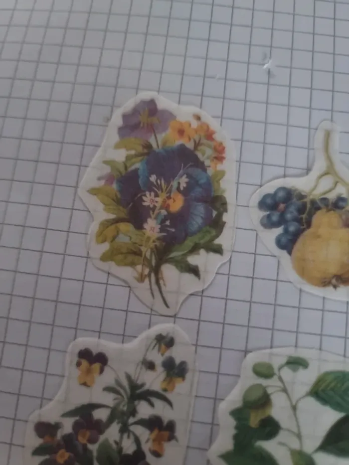 Lot stickers fleuri papier (lot D) - photo numéro 11