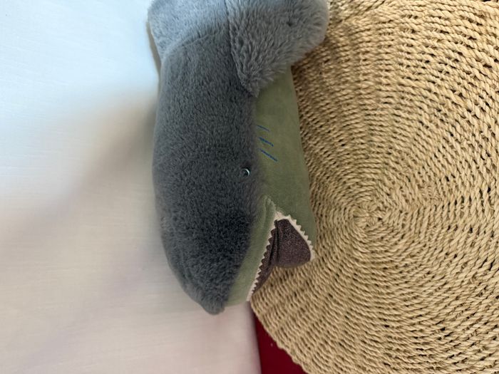 Grand requin - Tout autour du monde - photo numéro 3