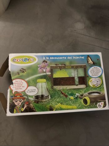 À la découverte des insectes 6+