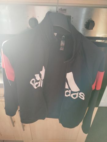 Veste