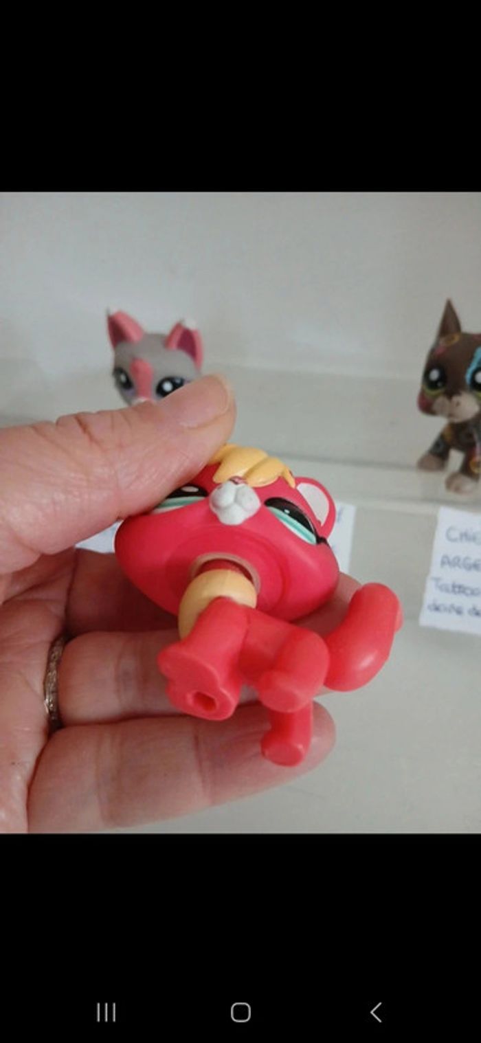 Littlest petshop - photo numéro 7