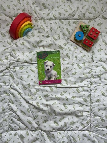livre les chiots magiques à la belle étoile tome j2111