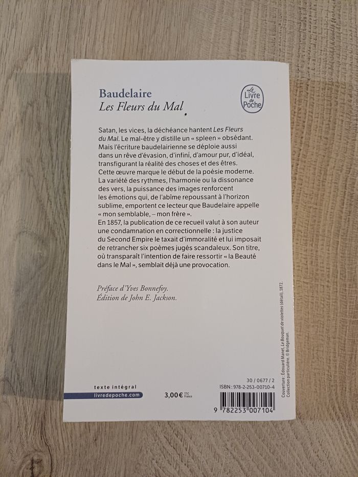 Les Fleurs du Mal - photo numéro 2