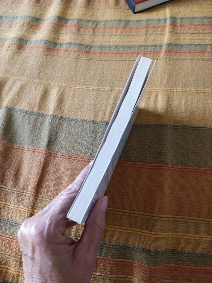 Je me suis réveillé en colère de Marek Halter - photo numéro 5