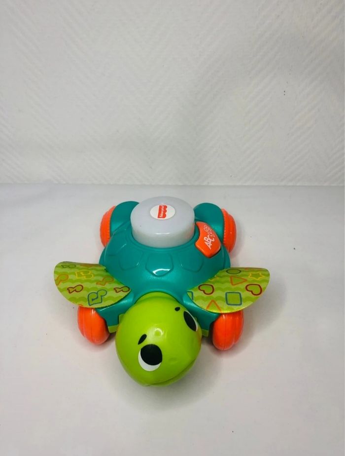 Manu la tortue - photo numéro 3