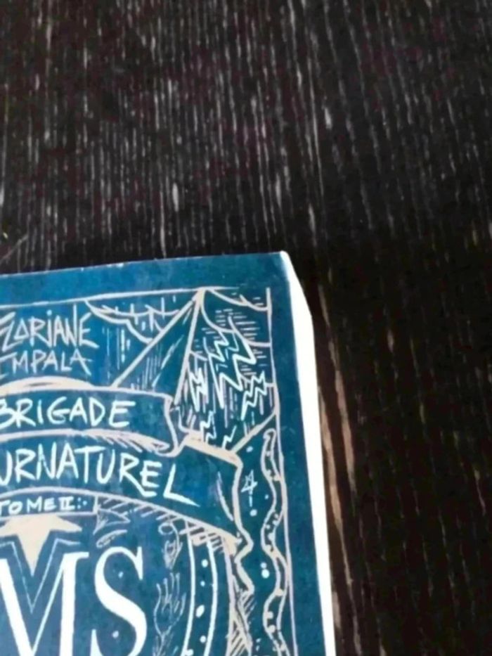 La Brigade Du Surnaturel / Tome 2 - photo numéro 2