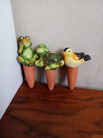 Cones d'arrosage
