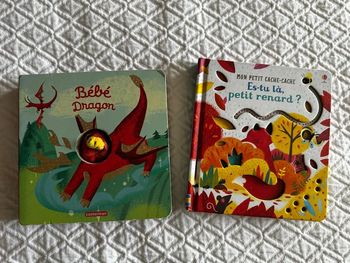 Lot de deux livres enfant ludique