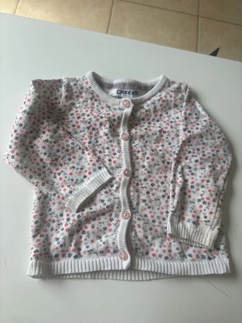 Gilet