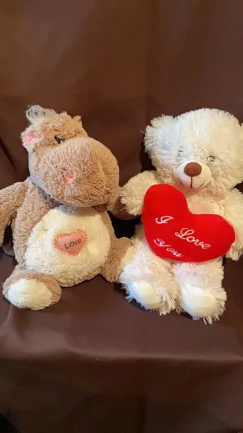 Lot de 2 peluches St Valentin