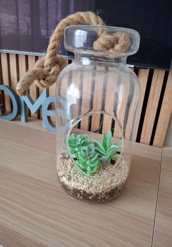 Terrarium avec plantes artificielles botanic - photo numéro 1