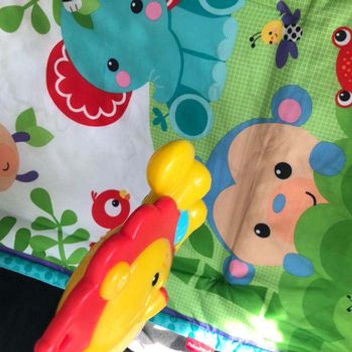 Tapis d’éveil Fisher price - photo numéro 6