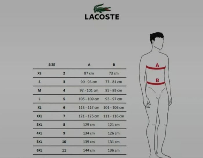 Polo col en V Lacoste 5 - photo numéro 8