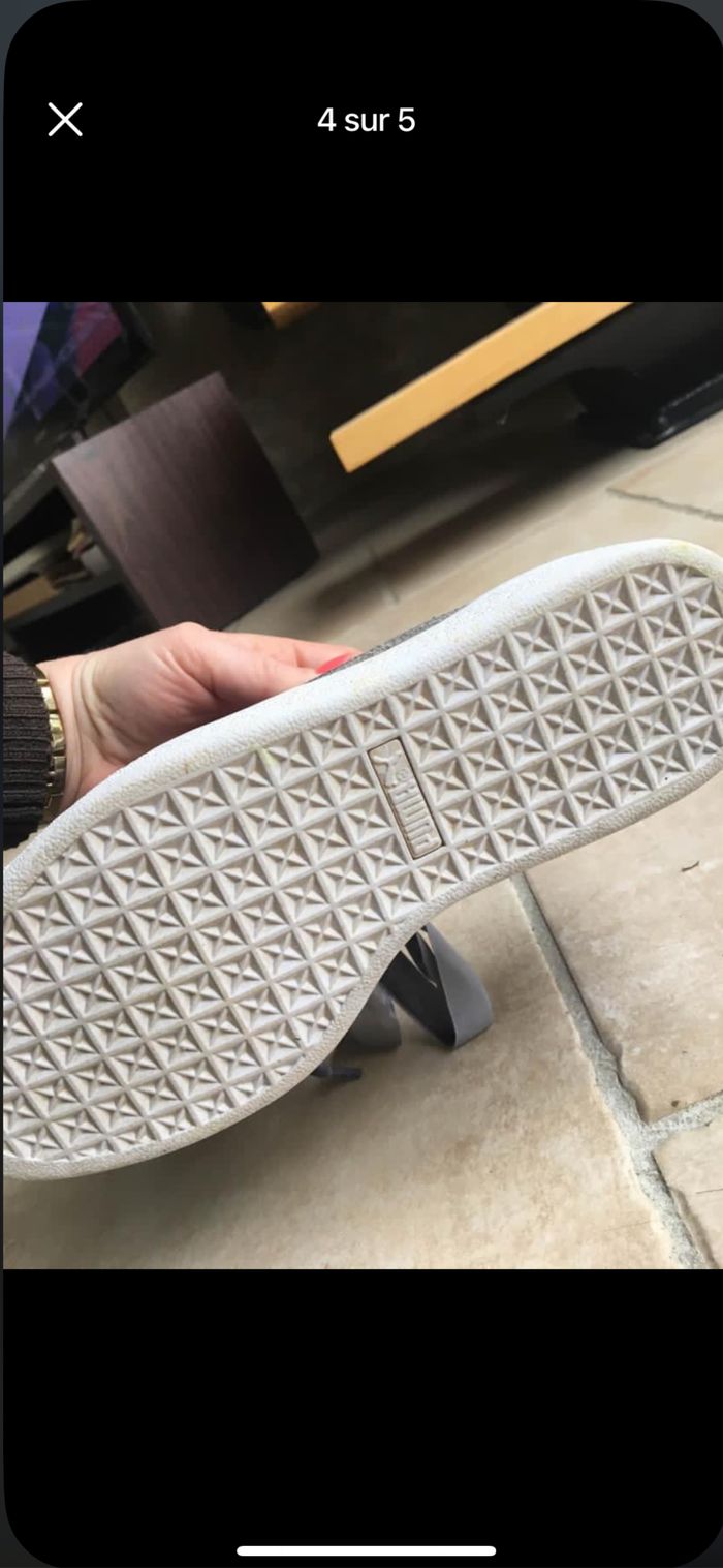 Puma argenté - photo numéro 3