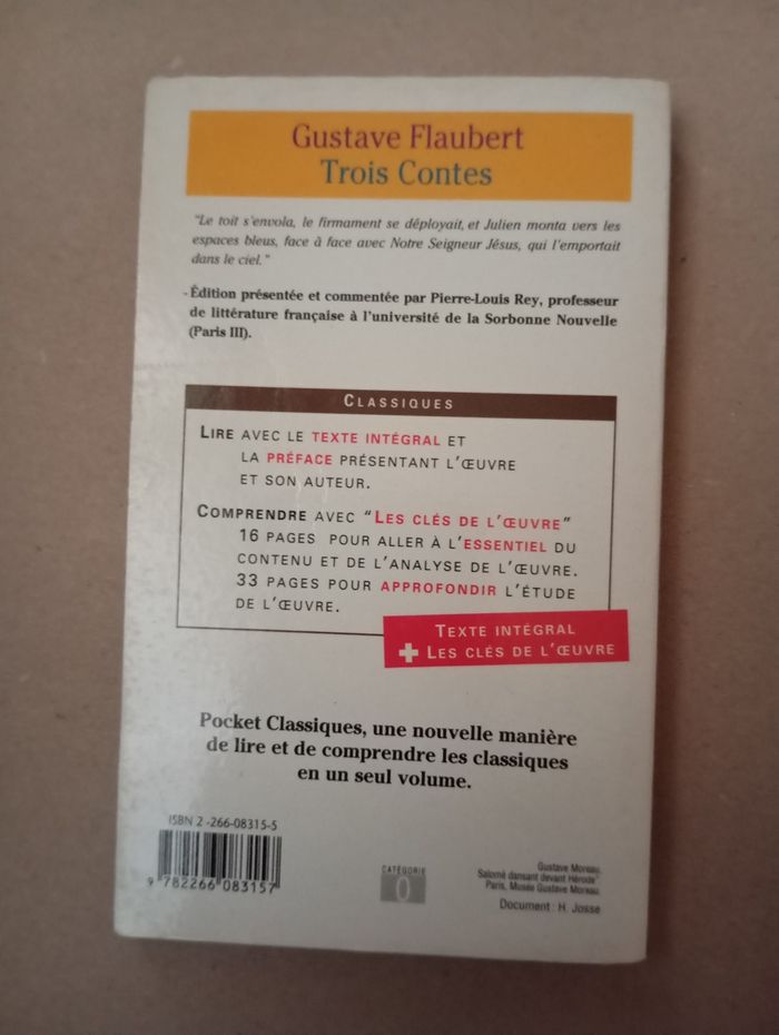 Gustave Flaubert - photo numéro 2