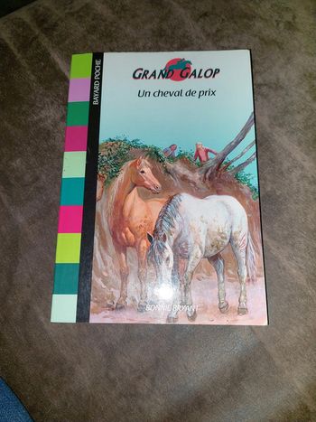 Grand galop un cheval de prix