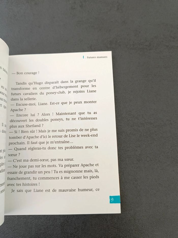 Clara et les poneys : la naissance du poulain - photo numéro 2