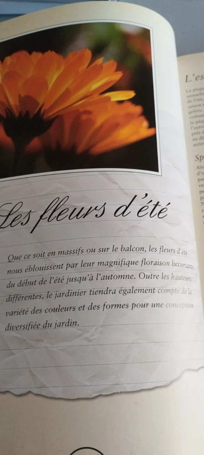 Plantes du jardin des conseils de bon papa - photo numéro 4