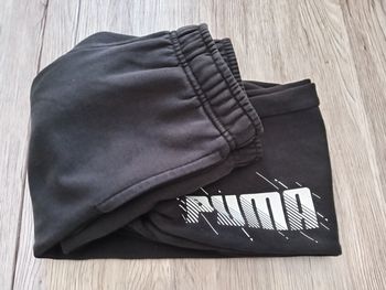 Jogging puma