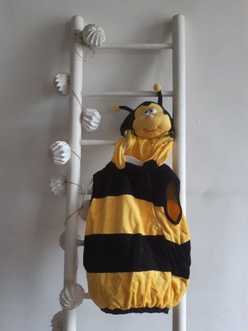 Déguisement bourdon