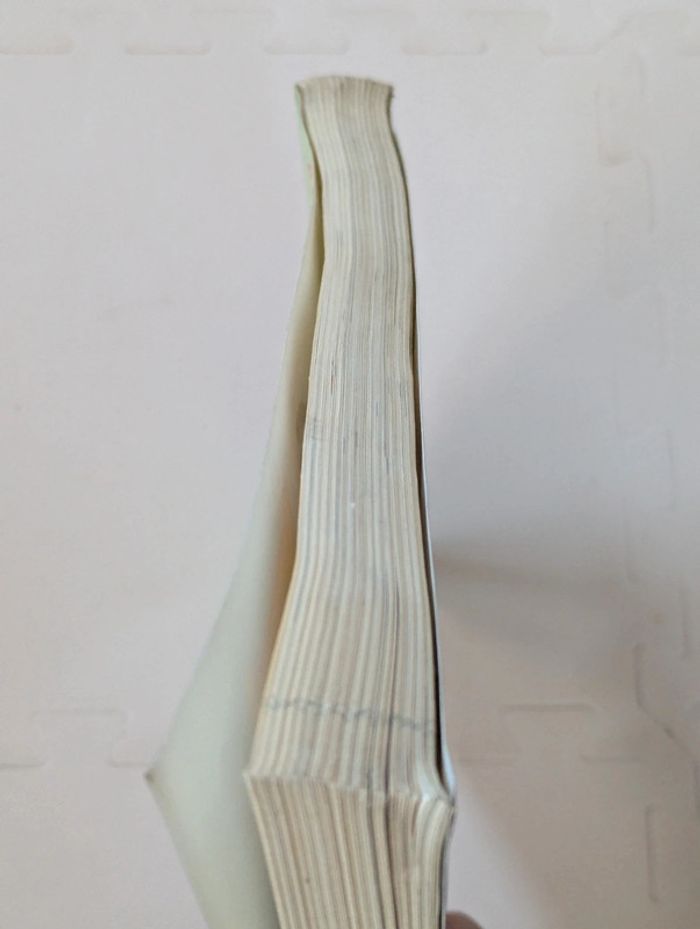 Lot 4 livres Itinéraires Littéraires Hatier – du Moyen Âge au XIXe siècle - photo numéro 10