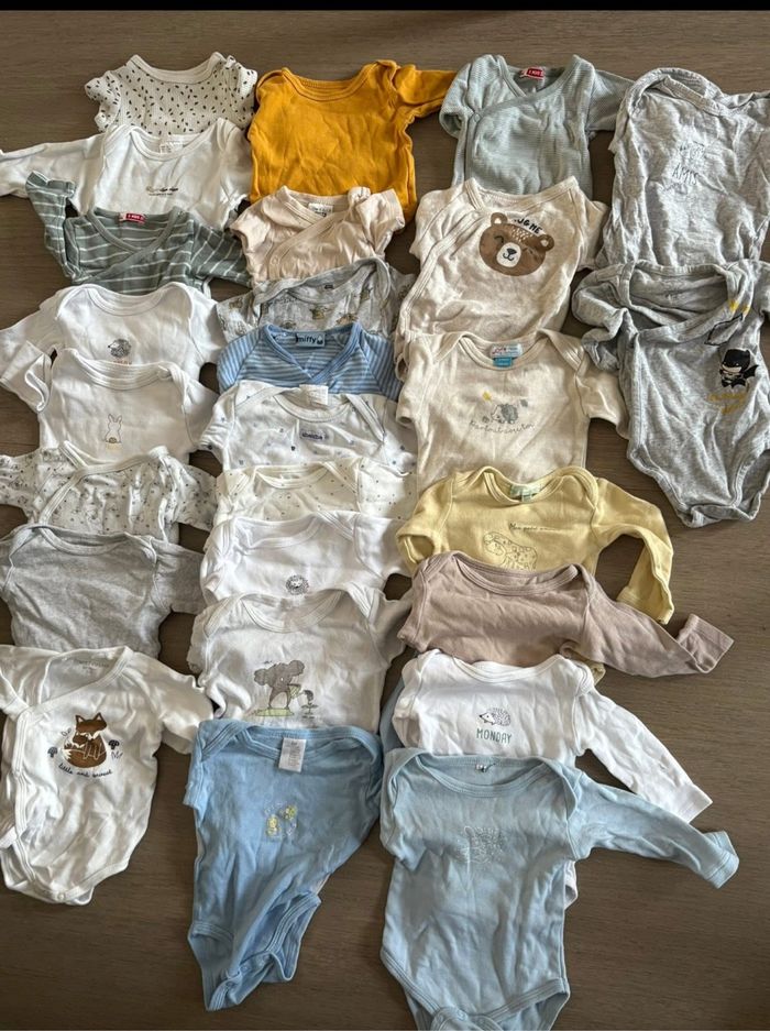 Lot  body