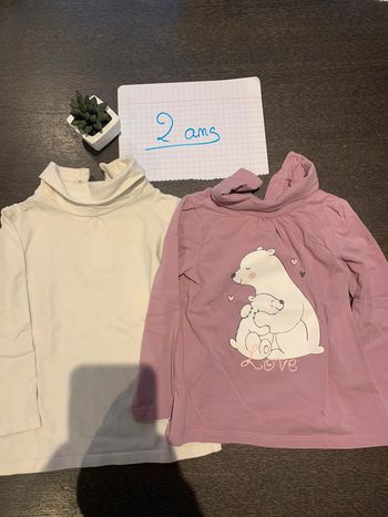 Lot de 2 sous pull taille 2 ans