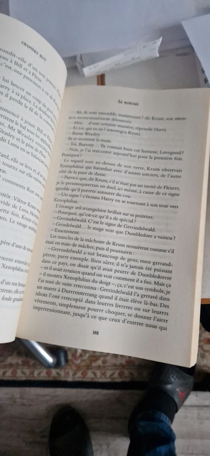Harry potter les reliques de la mort grand format - photo numéro 7