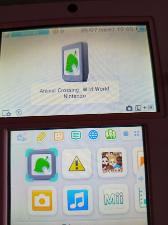 Nintendo - DS - Animal crossing - Wild world - photo numéro 9