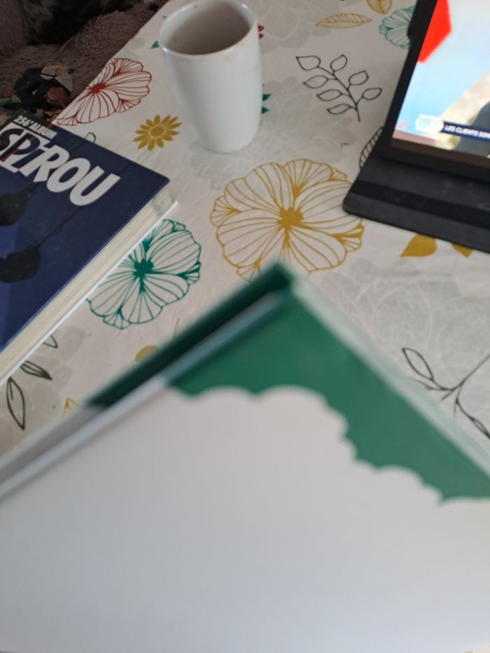 Over the ocean - photo numéro 5